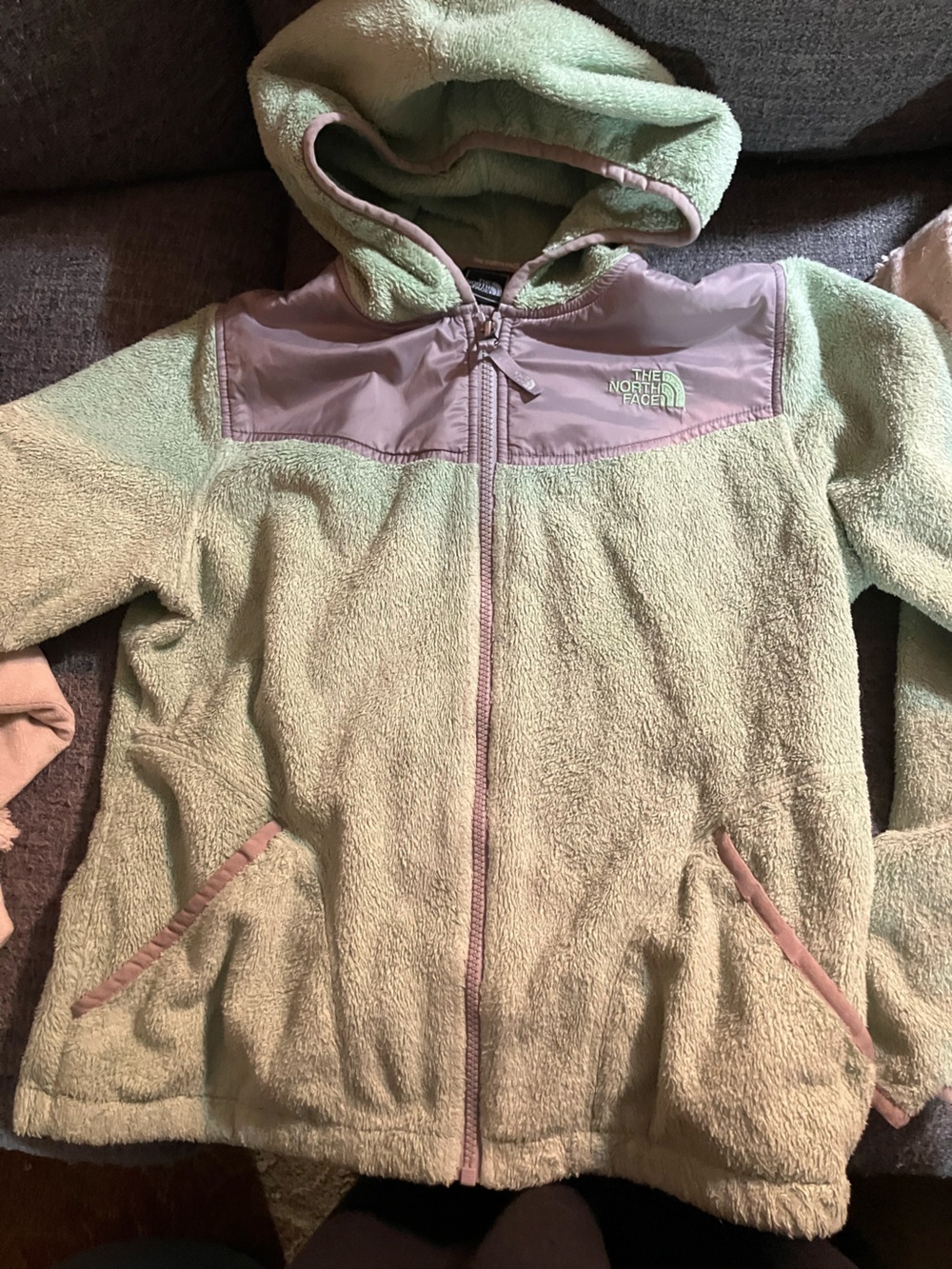 The North Face Mint Green Hooded Fleece Jacket